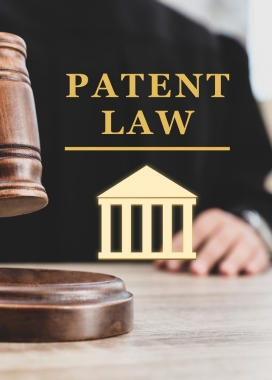 Patent Lawyers